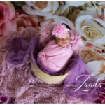 newborn Zanda